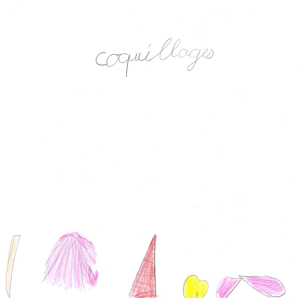 Dessin de Dione (8 ans). Mot: CoquillageTechnique: Crayons.