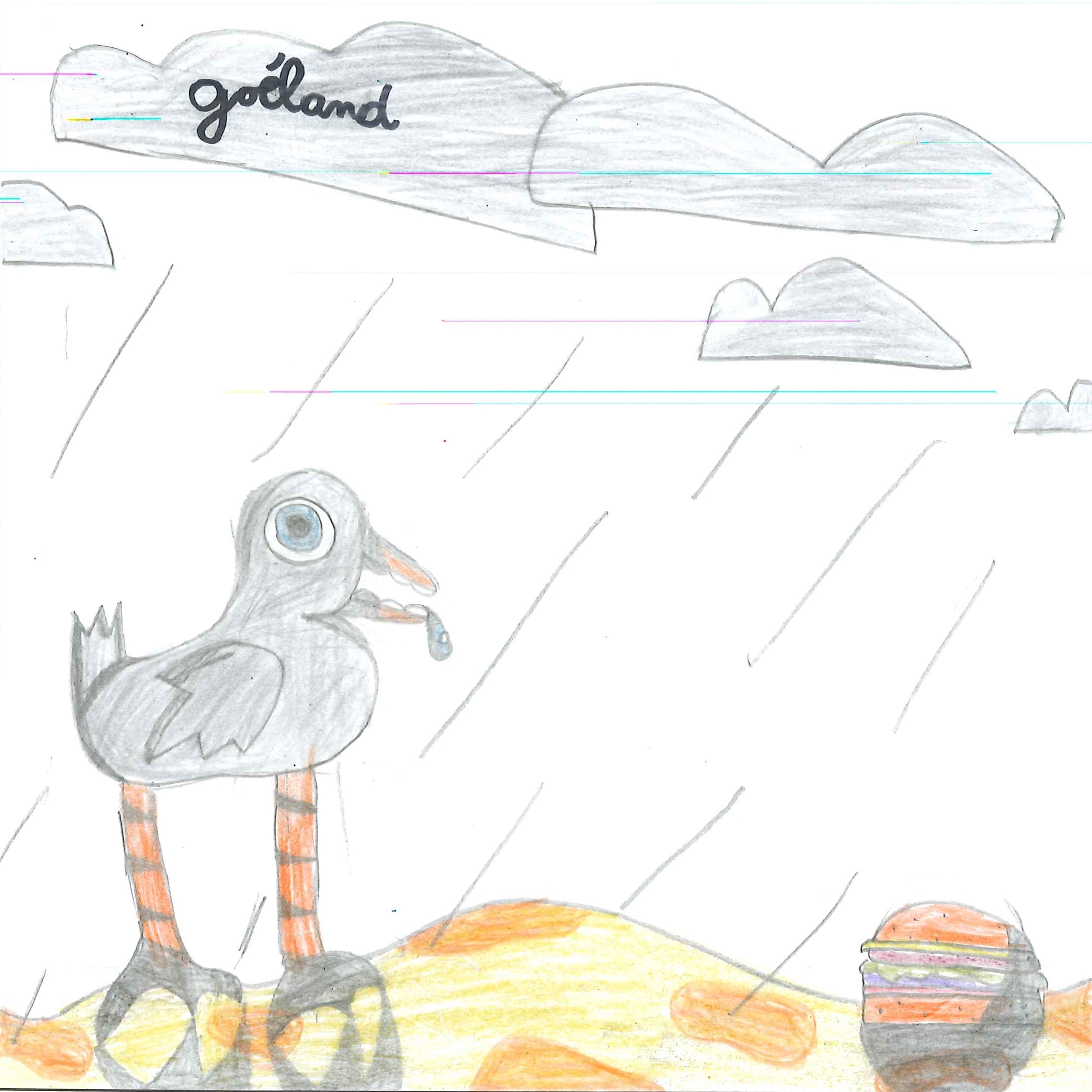 Dessin de Nazim (8 ans). Mot: GoélandTechnique: Crayons.
