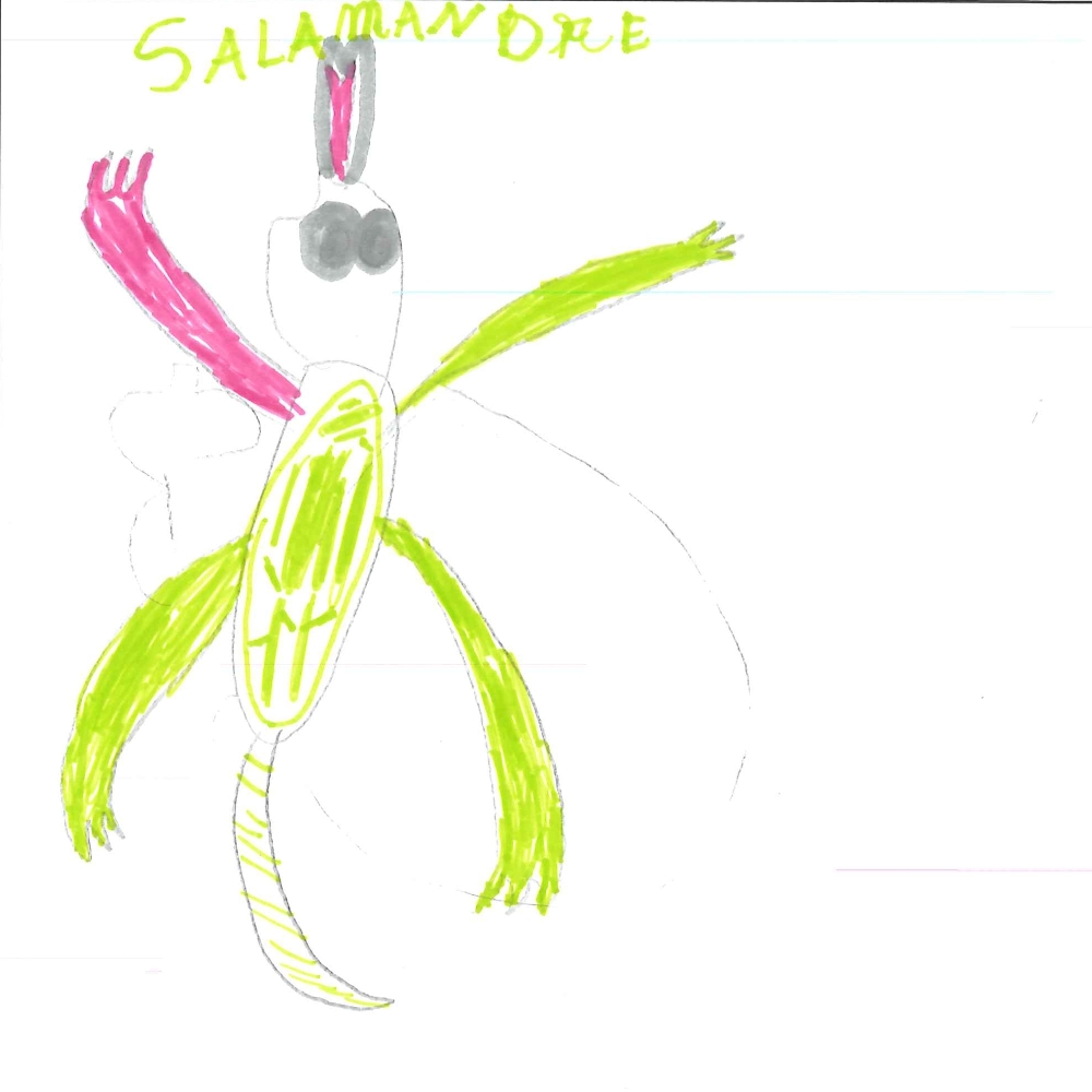 Dessin de Saïd (8 ans). Mot: SalamandreTechnique: Feutres.