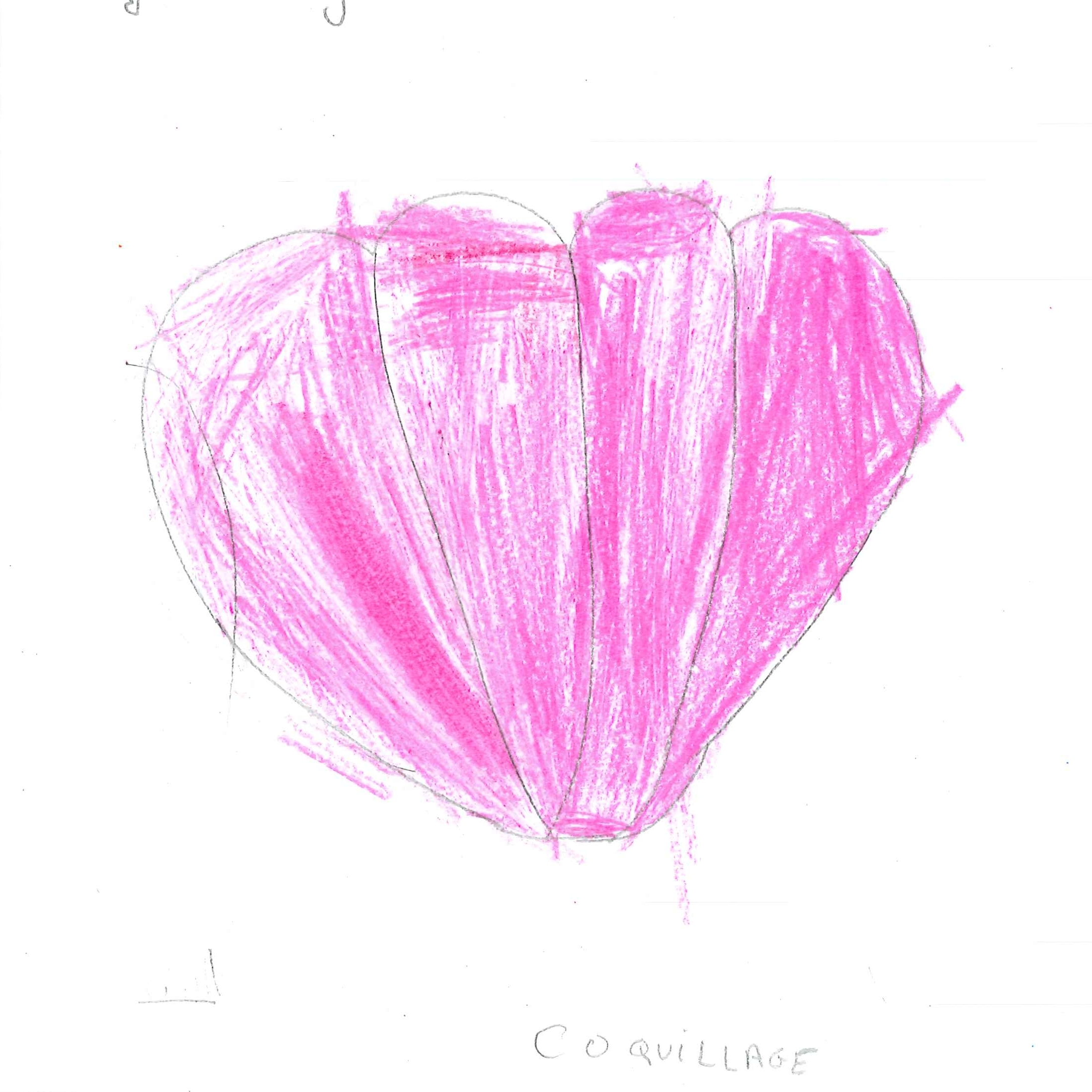 Dessin de Deyane (8 ans). Mot: CoquillageTechnique: Crayons.