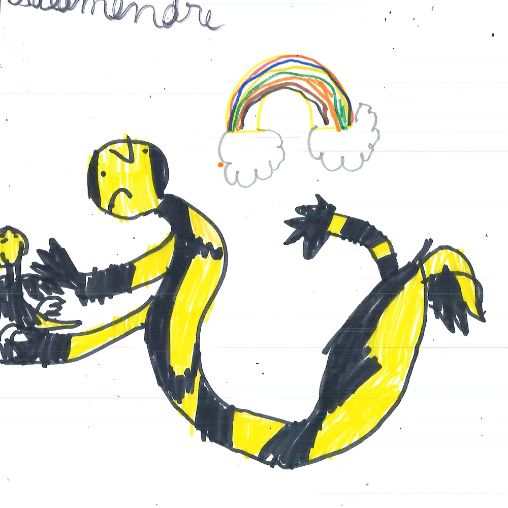 Dessin de Younès (9 ans). Mot: SalamandreTechnique: Feutres.