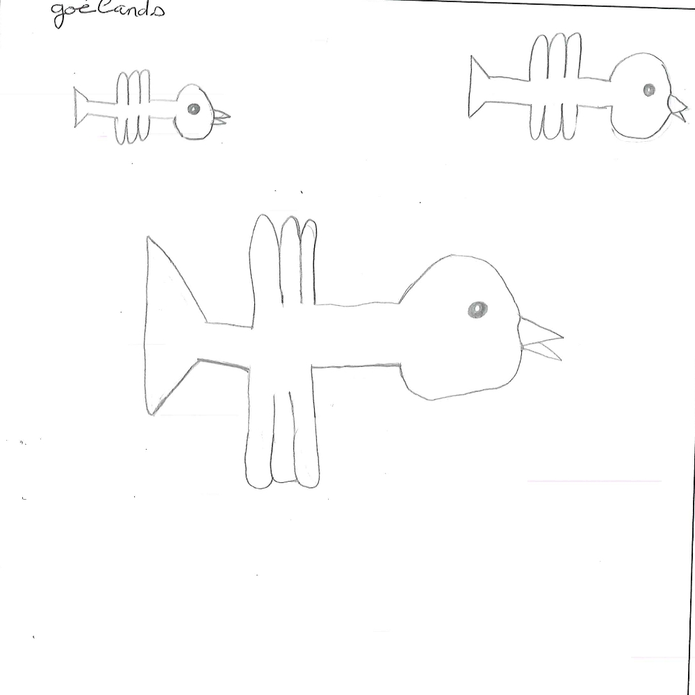 Dessin de Elena (8 ans). Mot: GoélandTechnique: Crayons.