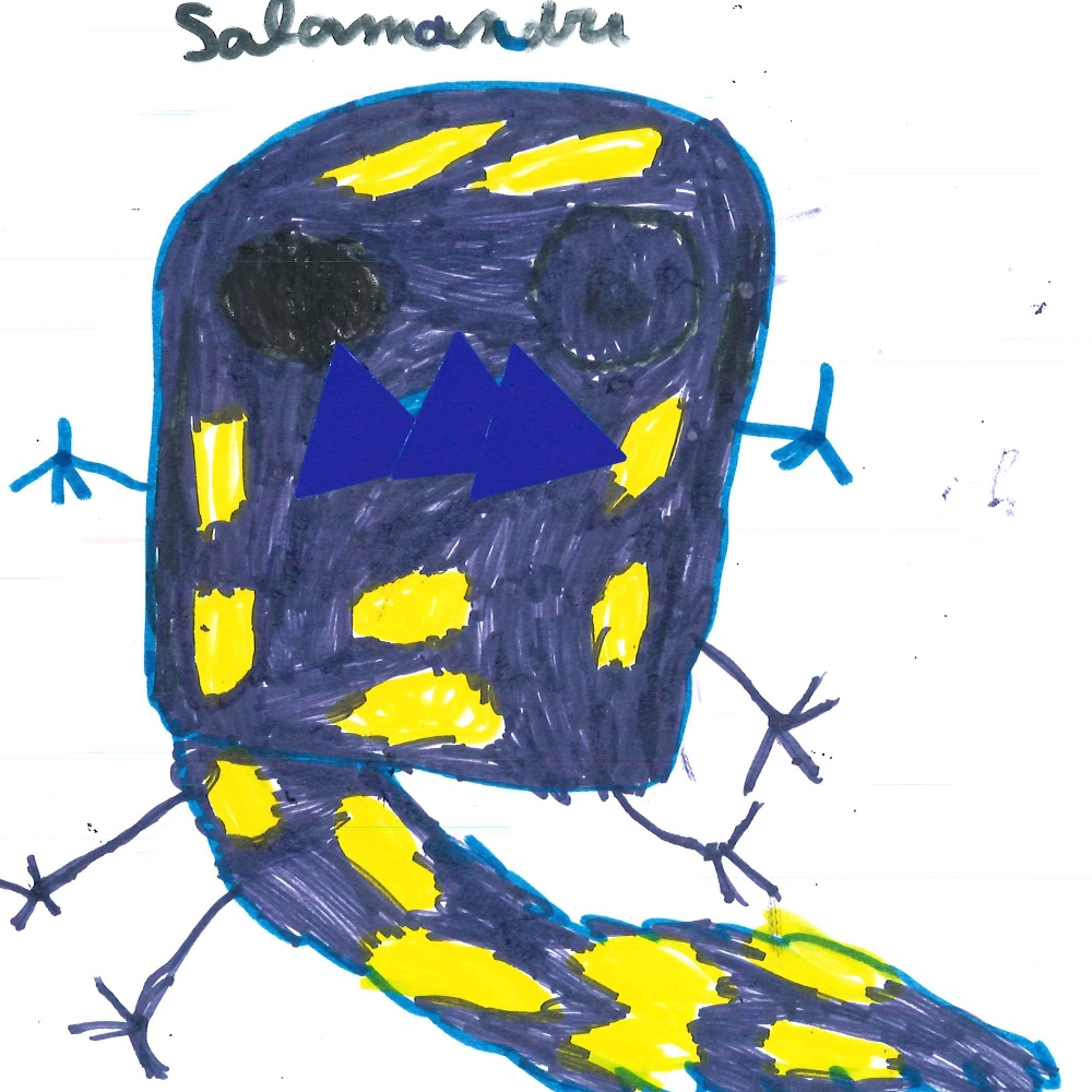 Dessin de Sémi (8 ans). Mot: SalamandreTechnique: Feutres.