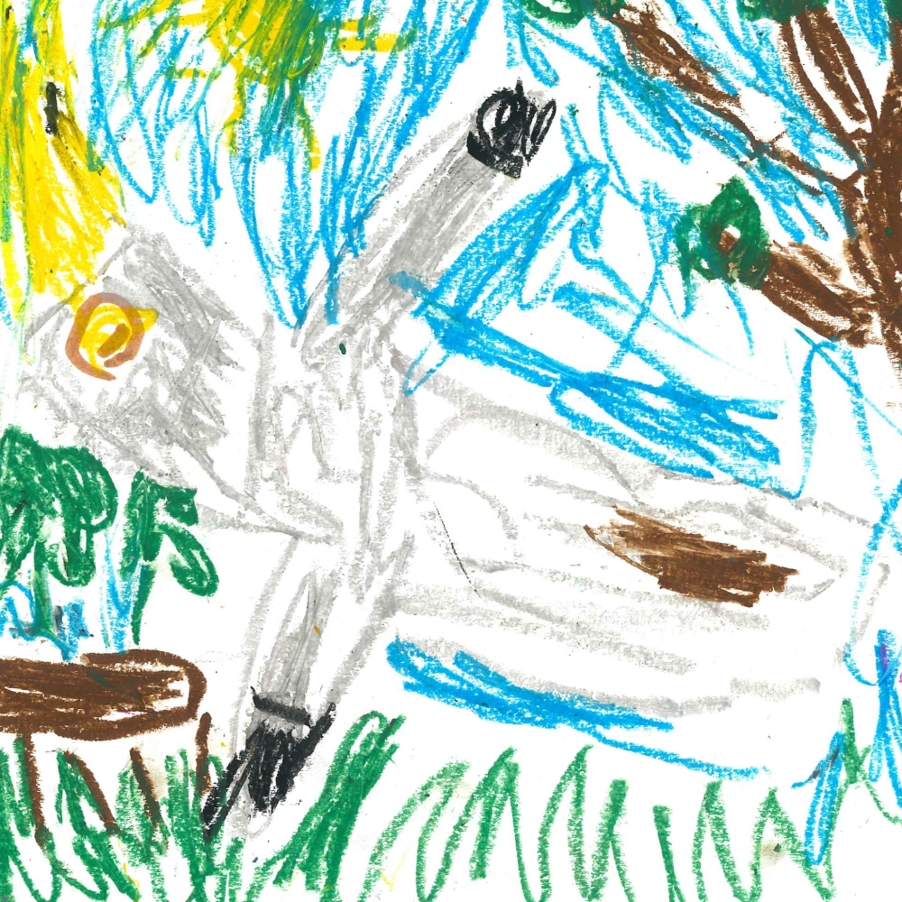 Dessin de Mathias (4 ans). Mot: GoélandTechnique: Pastels.