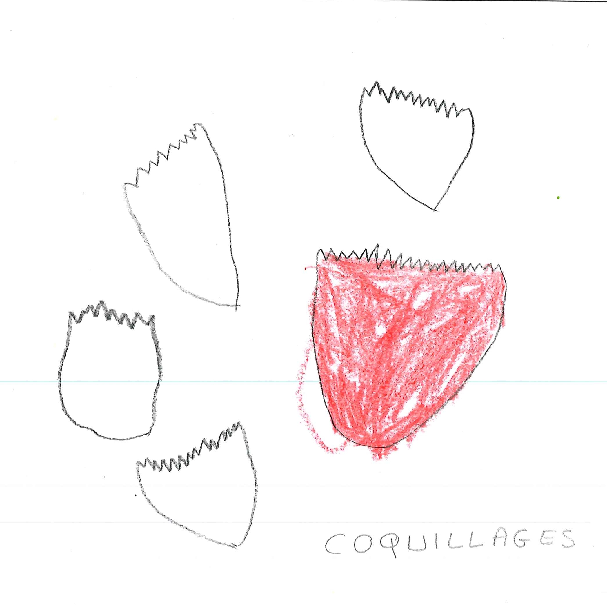 Dessin de Aya (4 ans). Mot: CoquillageTechnique: Pastels.