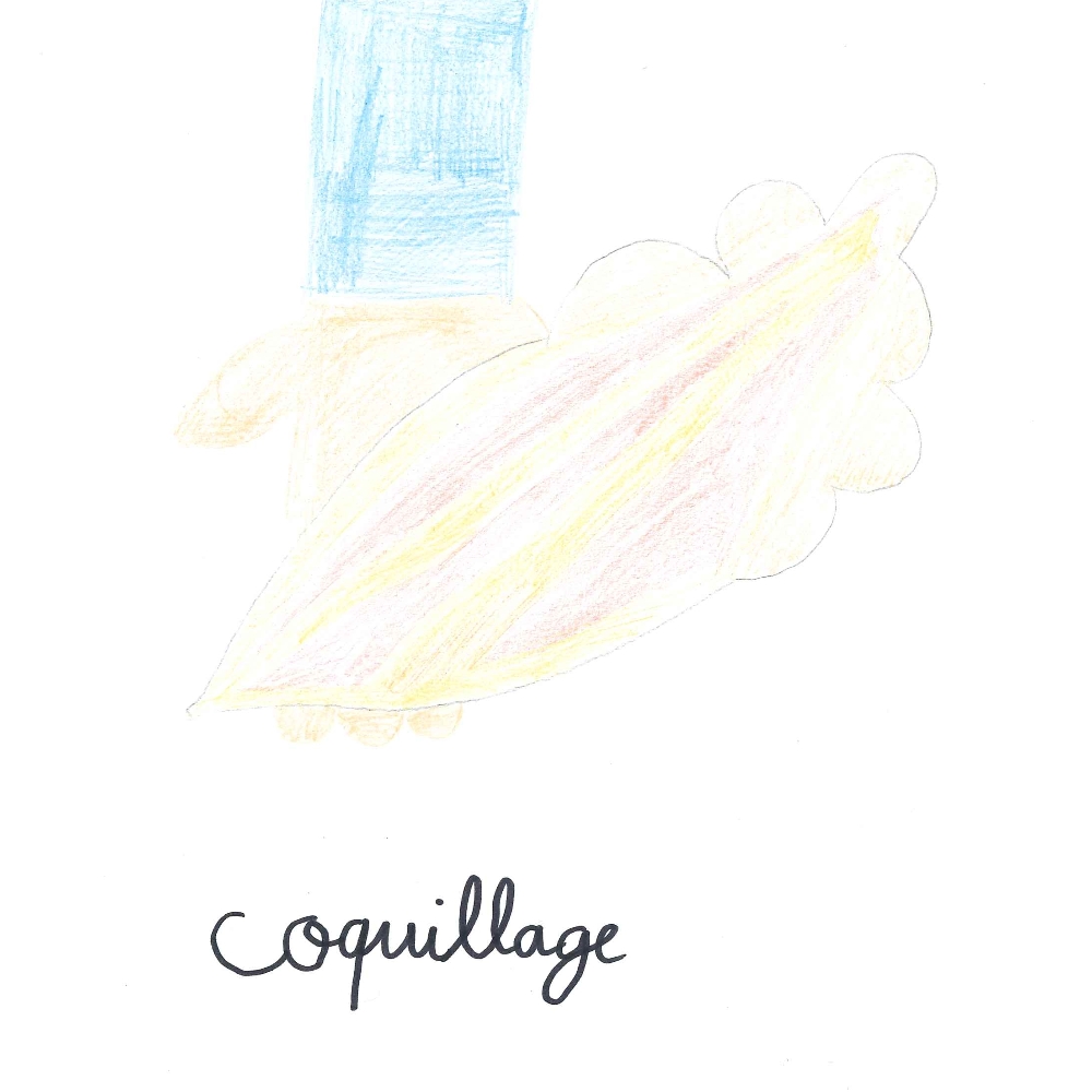 Dessin de Lila (9 ans). Mot: CoquillageTechnique: Crayons.