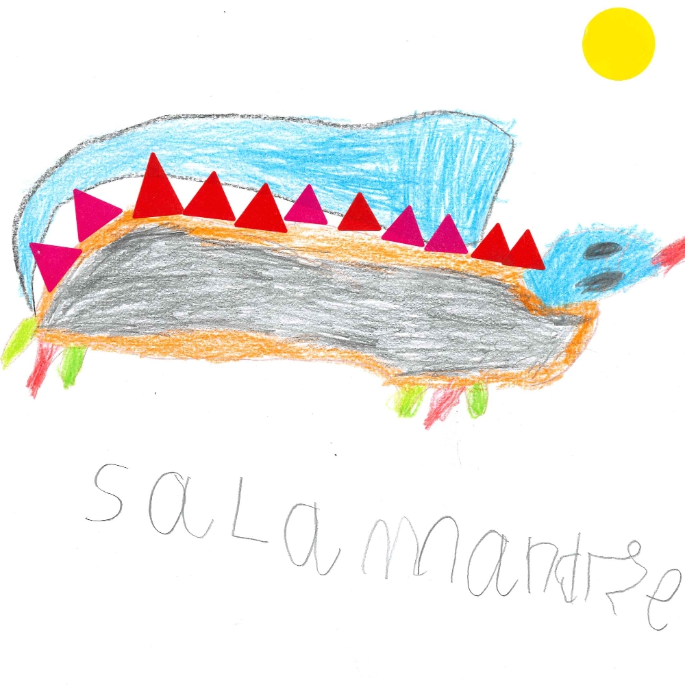 Dessin de Augustin (7 ans). Mot: SalamandreTechnique: Crayons.