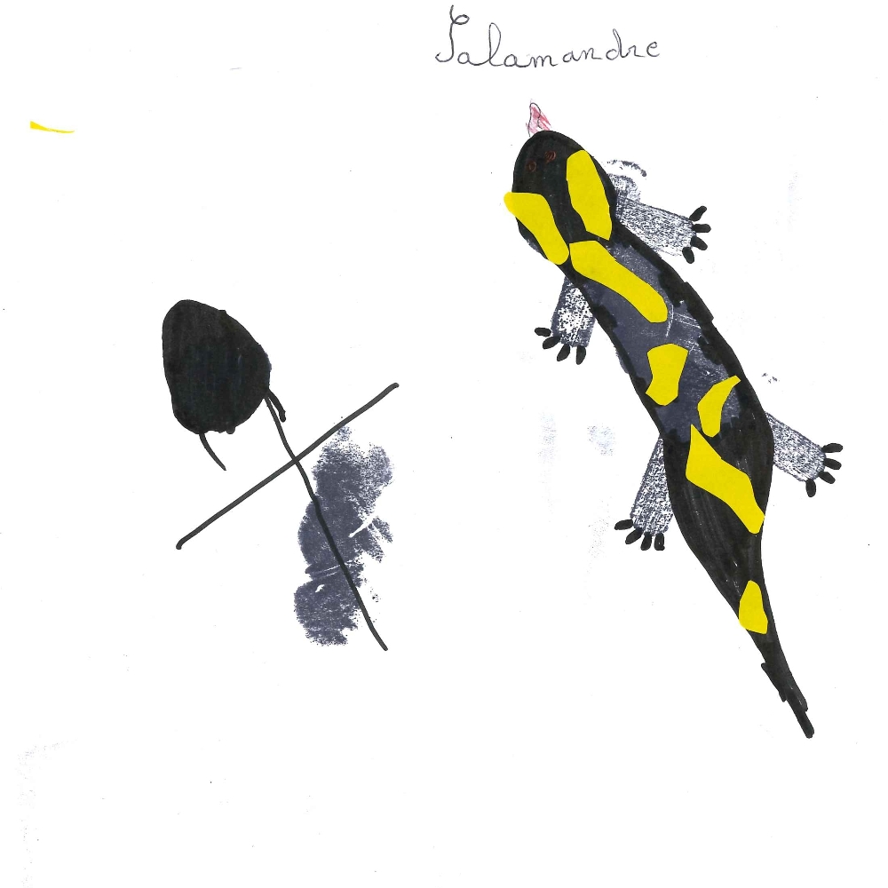 Dessin de Ghinae (10 ans). Mot: SalamandreTechnique: Tampons.