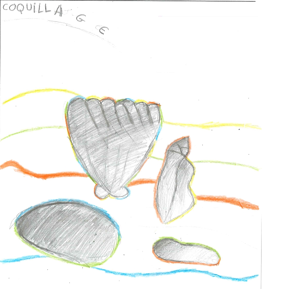 Dessin de Rosalie (10 ans). Mot: CoquillageTechnique: Crayons.