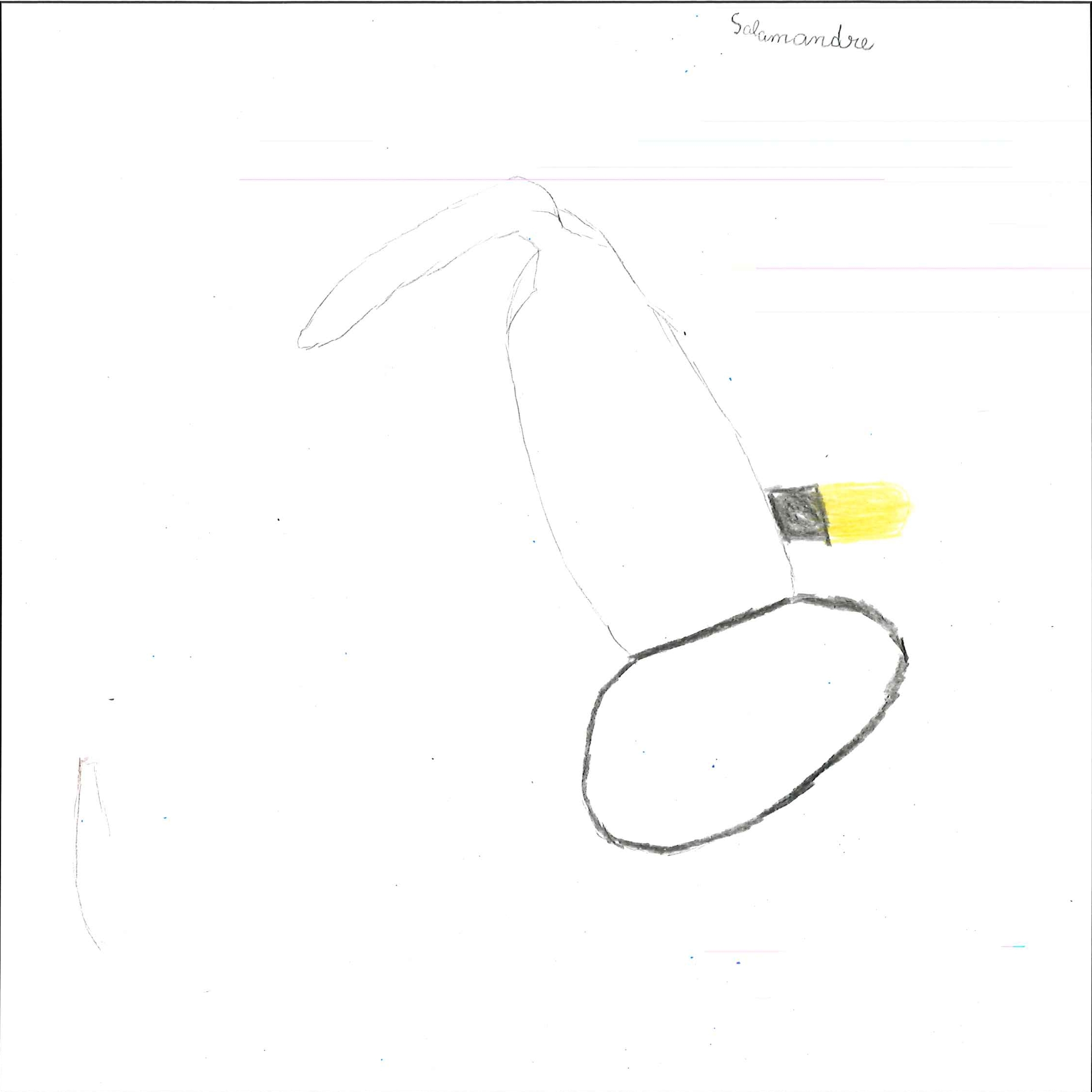 Dessin de Mohamed (10 ans). Mot: SalamandreTechnique: Crayons.