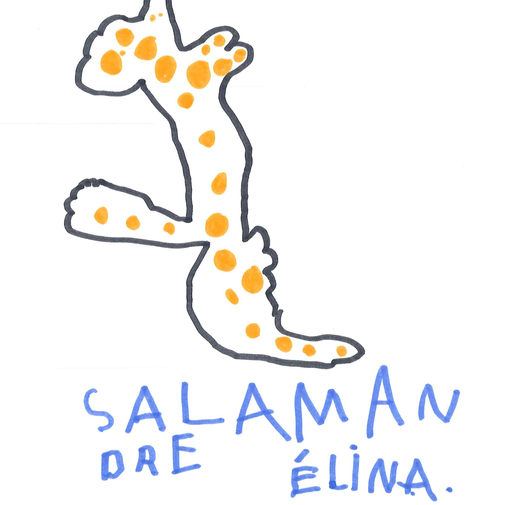 Dessin de Elina (6 ans). Mot: SalamandreTechnique: Feutres.
