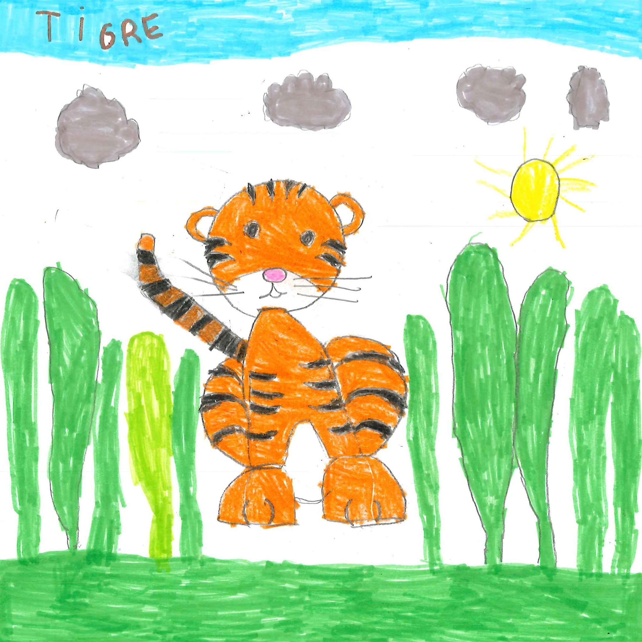 Dessin de Hugo (6 ans). Mot: TigreTechnique: Crayons.