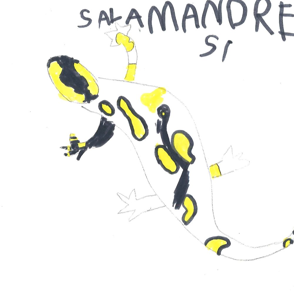 Dessin de Naël (5 ans). Mot: SalamandreTechnique: Feutres.